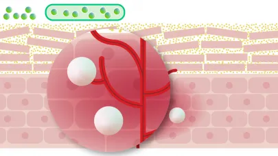 Atoderm Intensive baume sudėtyje taip pat yra PEA (palmitoiletanolamido)